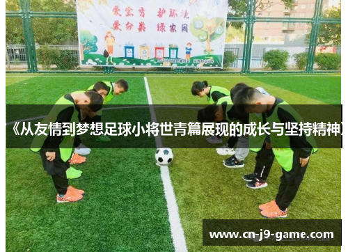 《从友情到梦想足球小将世青篇展现的成长与坚持精神》