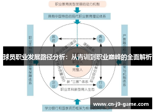 球员职业发展路径分析：从青训到职业巅峰的全面解析