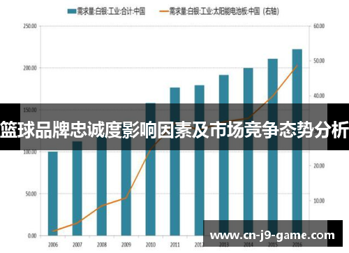 篮球品牌忠诚度影响因素及市场竞争态势分析