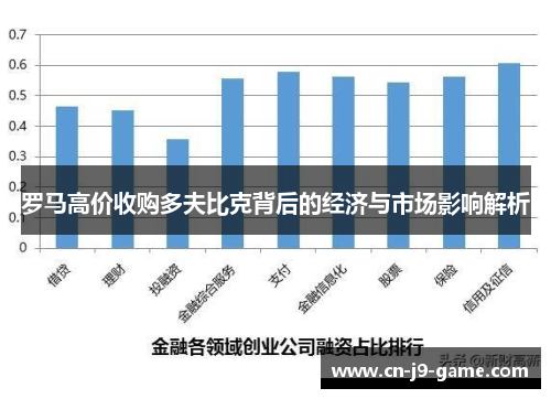 罗马高价收购多夫比克背后的经济与市场影响解析 罗马高价收购多夫比克背后的经济与市场影响解析