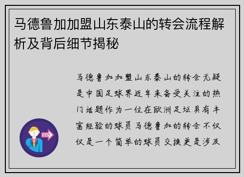 马德鲁加加盟山东泰山的转会流程解析及背后细节揭秘 马德鲁加加盟山东泰山的转会流程解析及背后细节揭秘